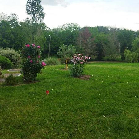 Chambre Avec Entree Independante Dans Un Ecrin De Verdure Dommartin  المظهر الخارجي الصورة